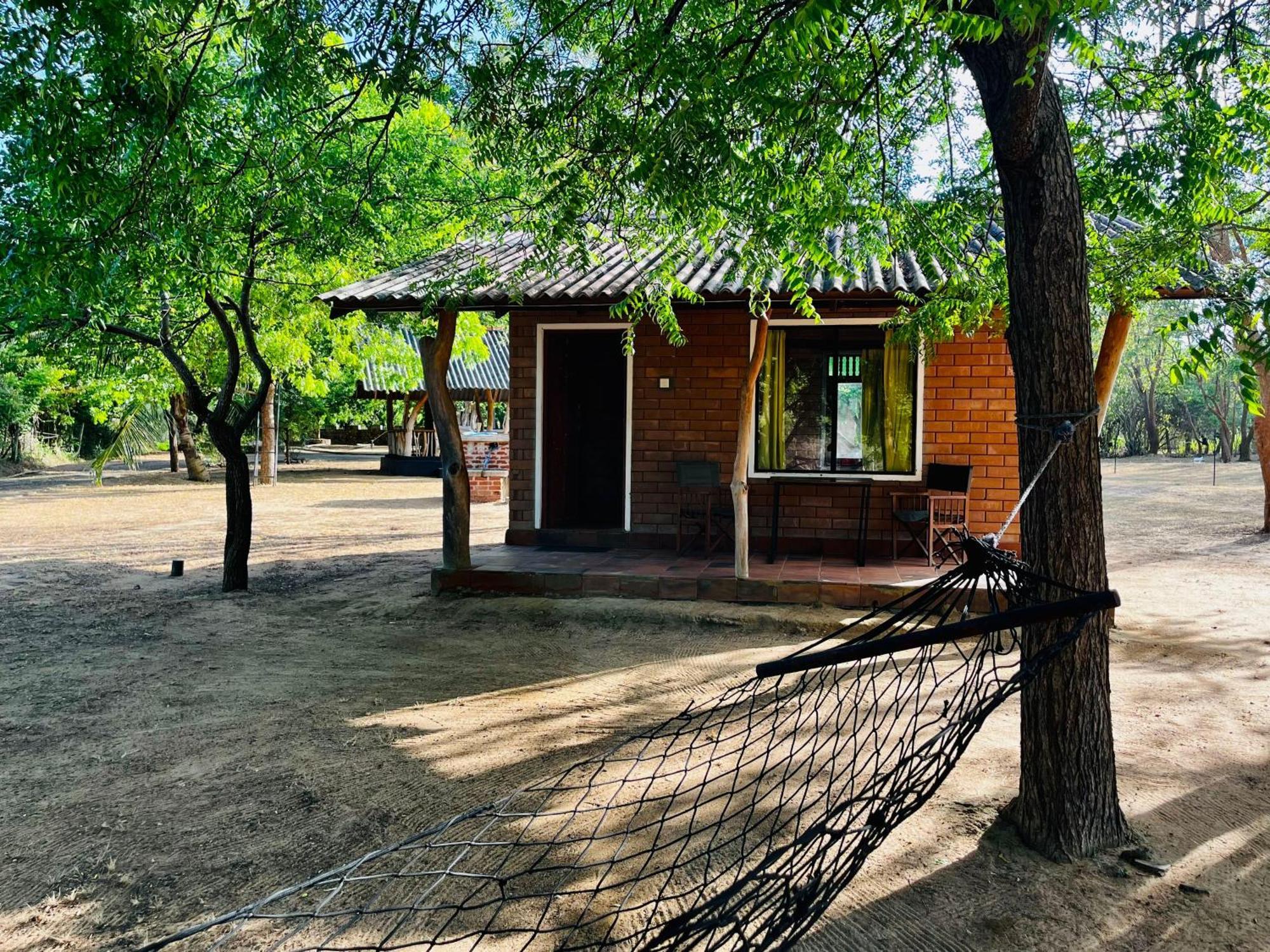 Funky Leopard Safari Lodge Bordering Yala National Park Kataragama Bagian luar foto